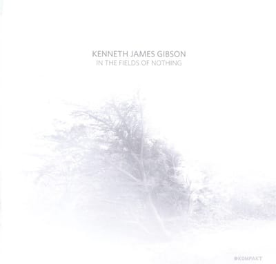 Kenneth James Gibson - In The Fields Of Nothing (CD)
