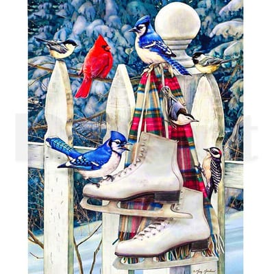 Peinture diamant 5D avec perceuse ronde, chaise, chaussures d'oiseaux, broderie, point de croix 20X30CM gray