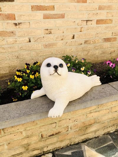 Zeehond groot 29 cm hoog - polyester - polystone - beeld - tuinbeeld - hoogkwalitatieve kunststof - decoratiefiguur - interieur - accessoire - voor binnen - voor buiten - cadeau - geschenk - Kerst - Nieuwjaar