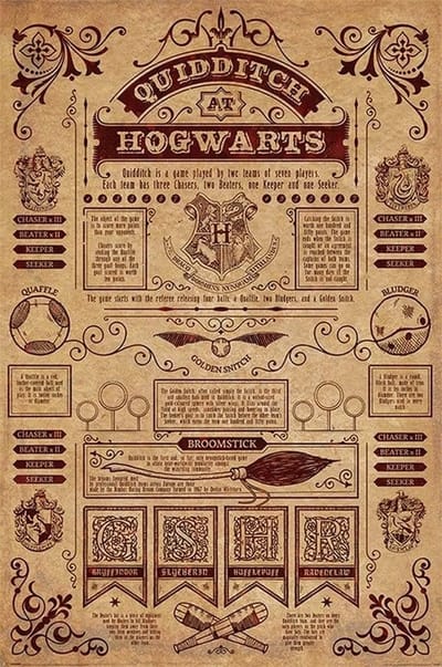 Harry Potter Quidditch at Hogwarts Poster meerkleurig - Papier - Fan merch, Film, Hogwarts