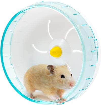 JeiibrZui Geluidloos Hamsterwiel - Afneembaar Loopwiel - Soepel Roterend & Veilig Ontwerp - 1 Stuks - Voor Kleine Dieren Zwart