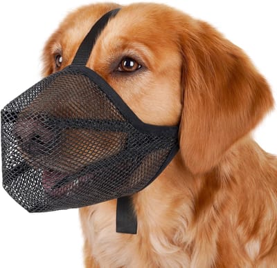 Muilkorf Honden-muilkorf hond middelgroot-Hondenmuilkorf - Zachte gaasmuilkorf voor kleine, middelgrote en grote honden - Anti-bijtmiddel - Ademend verstelbaar gebitsbeschermer -L- Zwart - 25x20x9,5cm