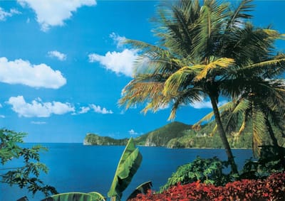 Vliesfotobehang Fotobehang 7 Banen, St. Lucia Art. 18308