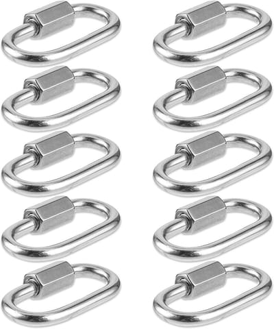 Kleine Carabiner Haken Set van 10 Stuks, RVS Heavy Duty, Voor Kamperen, Wandelen en Hangmatten