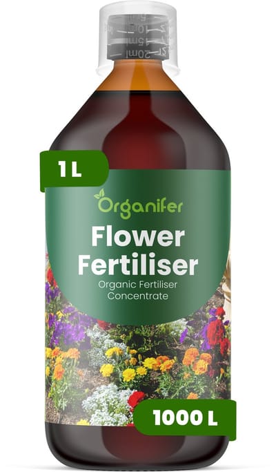 Vloeibare Meststof Voor Bloemen - 1 L Voor 1000 L - Npk 3-4-3 - Sterke Groei - Uitbundige Bloei - Knopvorming - Bloemgrootte - Kleurintensiteit - Sterk Wortelstelsel - Langdurige Bloeicycli - Organifer