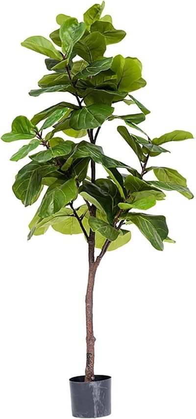 Kunstige Vijgenboom - Zijde Plant - Interieur Decoratie - Onderhoudsvrij Groen - 75 cm - Groen