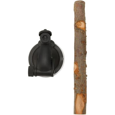 Perchoir en Bois pour Perroquet Anti-Dérapant Perchoir de Fenêtre Interactif pour Oiseau avec Ventouses pour Petit 15cm / 5.9in black