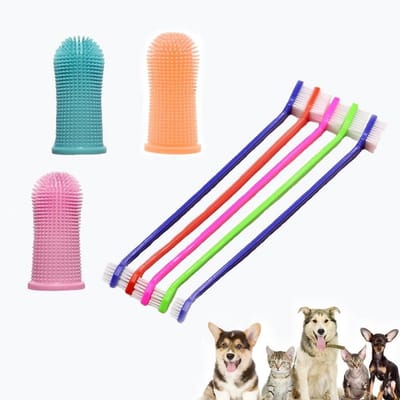 Allecta - Honden Tandenborstel Set voor Tandenreiniging en Mondverzorging met Opbergdoos - 8 Stuks