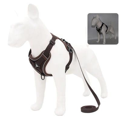 Reflecterend Huisdier Training Wandelharnas Lijn Verstelbaar Puppy Harnas Vest voor Kleine Honden Chihuahua Yorkies Borstband XL 7.5-10 kg white