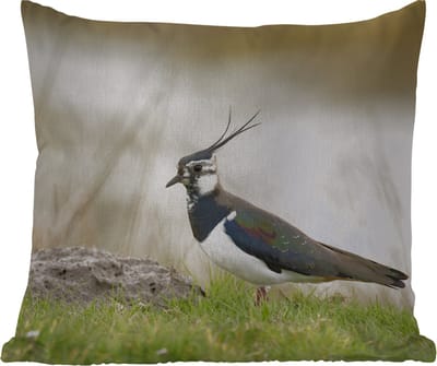 Tuinkussen - Vogel - Gras - Dieren - Natuur - Kievit - 40x40 cm - Weerbestendig