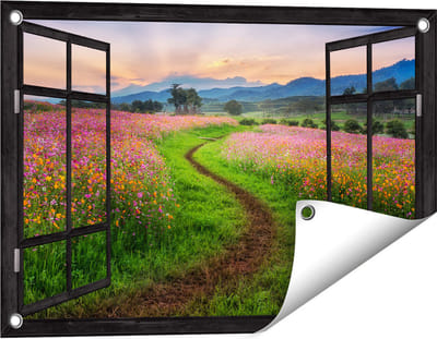 Gards Tuinposter Doorkijk Kosmos Bloemenveld met een Pad - Bloemen - 60x40 cm - Tuindoek - Tuindecoratie - Wanddecoratie buiten - Tuinschilderij