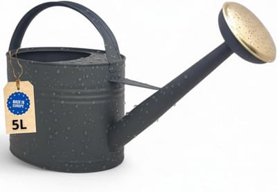 Metalen Gieter 5 Liter - Vintage Tuingieter voor Binnen en Buiten