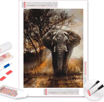 CHPN - Olifant Diamond Painting - Olifant in Schemer - 50/60CM - Cadeau - Diamand painting schilderij - Ronde steentjes - Inclusief gereedschap