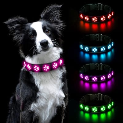 Lichtgevende Halsband, LED-Lichtgevende Halsband, Halsband, USB Oplaadbaar, Waterdicht Voor Kleine, Middelgrote En Grote Huisdieren, Veiligheidshalsband Met 3 Verlichtingsmodi (Roze-S)