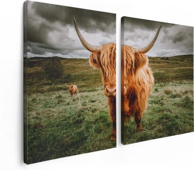 Artaza Canvas Schilderij Tweeluik Schotse Hooglanders In De Wei - Kleur - 120x80 - Foto Op Canvas - Canvas Print