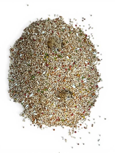 Parkietenvoer 2x 2kg - Kleine parkiet premium zaad & pellet mix