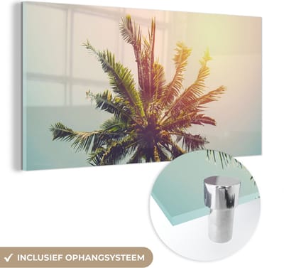 MuchoWow® Glasschilderij 40x20 cm - Schilderij acrylglas - Palmboom - Zomer - Tropisch - Zon - Foto op glas - Schilderijen