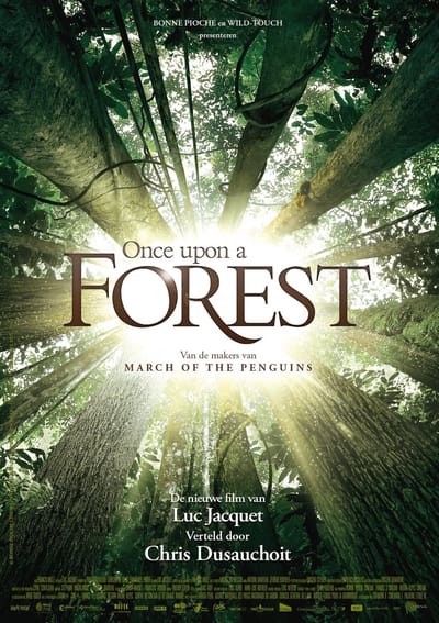 Once upon a forest (Vlaamse versie) (DVD)
