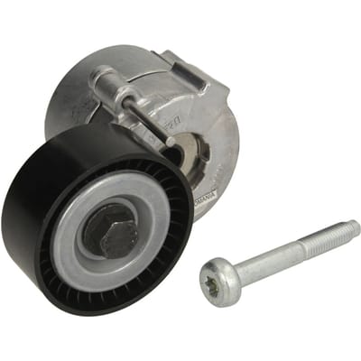 Schaeffler Ina Riemspanner, Poly V-riem INA 534061010