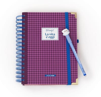 Dagplanner 2026 - Agenda - Taken Organiseren - Vrolijk Design - Praktisch Formaat - Veelkleurig