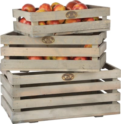 Fruitkratten set van 3