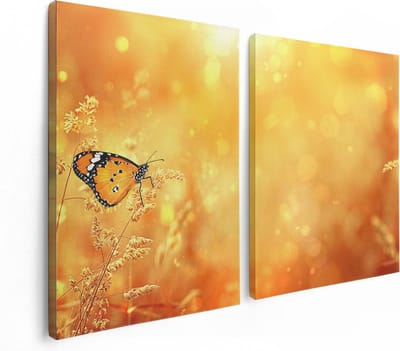 Artaza Canvas Schilderij Tweeluik Oranje Vlinder In Het Oranje Veld - 120x80 - Foto Op Canvas - Canvas Print