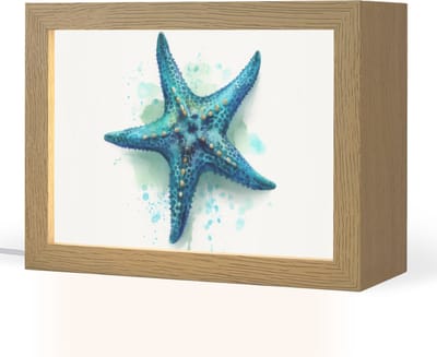 Nachtlampje 20x15 cm - Kinder lampje - Zeester - Blauw - Spetters - Tafellamp kinderkamer - Slaapkamer lamp - Bedlamp kinderen - Kinderlampje stopcontact - Wandlamp babykamer - Nachtlampjes