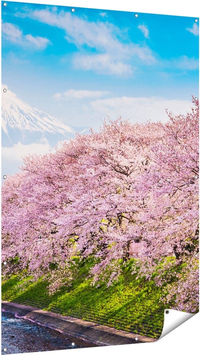 Gards Tuinposter Roze Bloesembomen bij de Fuji Berg - 120x180 cm - Tuindoek - Tuindecoratie - Wanddecoratie buiten - Tuinschilderij