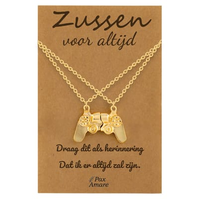 BFF Ketting voor 2 'Zussen voor altijd' - Controller - Vriendschapsketting op Cadeau Kaartje - 45cm + 5cm verstelbaar - Goudkleurig - Sisters Hanger - Pax Amare