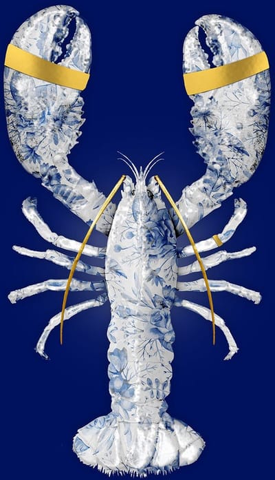 The Lobster - 80cm x 120cm - Fotokunst op Plexiglas | Wanddecoratie Glasschilderij