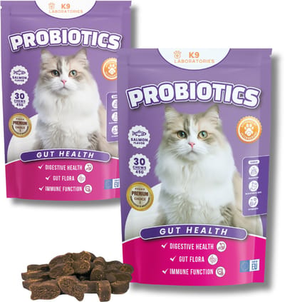 Probiotica Kat - 100% natuurlijk Voedingssupplement voor katten - Kattensnoepjes - Weerstand en imuunysysteem - Opgeblazenheid, winderigheid, diarree, constipatie kat - 60 stuks