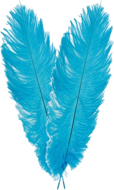 Chaks Struisvogelveer/sierveer - 2x - turquoise - 55-60 cm - decoratie/hobbymateriaal