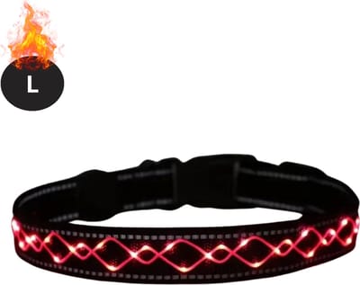 Bovista Lichtgevende Halsband - Verlichte Halsband - Lichtgevend - Hond - Kat - Lampje - Hondenhalsband Led - Oplaadbaar - Rood - L