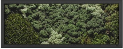 Mos Schilderij 100 x 40 cm Landscape Zwart