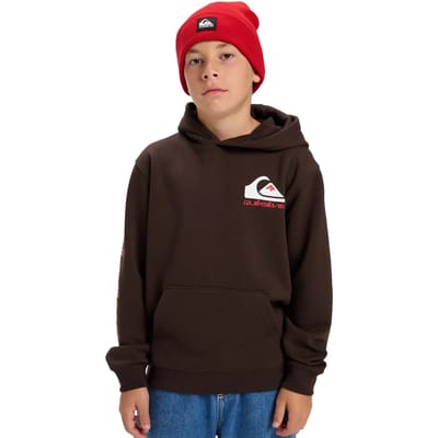 Quiksilver Omni Logo Hoodie Bruin 14 Years Jongens