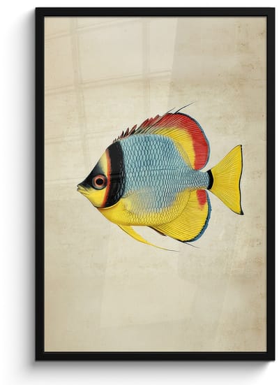 Poster in lijst - Fotolijst 60x90 cm - Posters - Kleurrijk - Vis - Schubben - Illustratie - Posterlijst zwart - Decoratie - Wanddecoratie woonkamer - Muurdecoratie slaapkamer