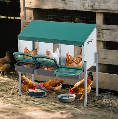 HAUSS SPOLE Kipnest - 80 x 33 x 81 cm - 3-Vaks Met Poten En Afdekking - Metaal - Groen - Voor Kippenhok En Buiten Gebruik