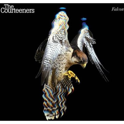 Falcon - Courteeners