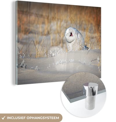 MuchoWow® Glasschilderij 80x60 cm - Schilderij acrylglas - Uil - Sneeuw - Duin - Foto op glas - Schilderijen