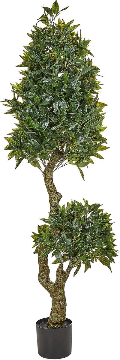 LAUREL - Kunstplant - Groen - 160 cm - Synthetisch
