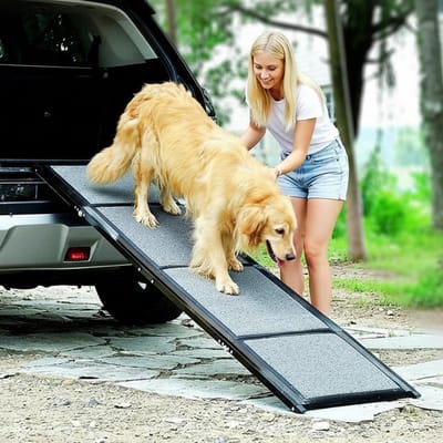 Huisdieren helling - Honden opgang - Veilig in auto - Antislip oppervlak - 160 x 44 cm - Zwart/Grijs