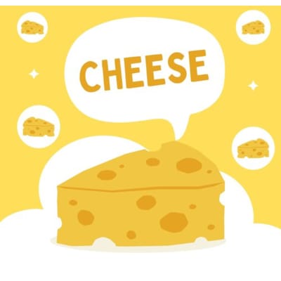 Cheese - Andries B.V.