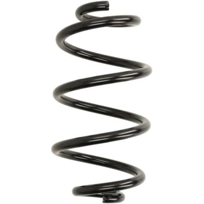 Chassisveer MAGNUM TECHNOLOGY SR170