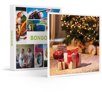 Bongo Bon -Cadeaukaart Kerstmis - € 300- Cadeaukaart