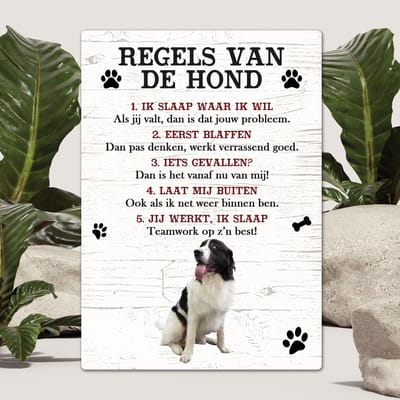 Spreuken - Landseer ECT - Regels Van De Hond - Spreuken Bordjes - Spreukenbord - Tekstborden - Cadeau - Hondenras