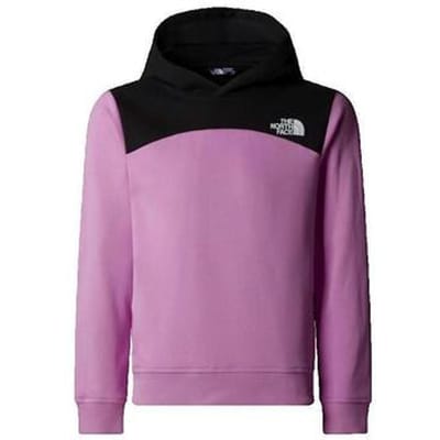 Sweaters The North Face Back Logo Relaxed P/O