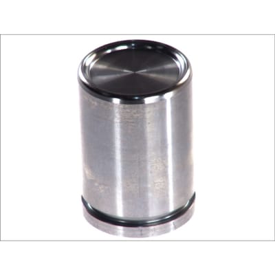 Zuiger, remklauw AUTOFREN SEINSA D02588, achter