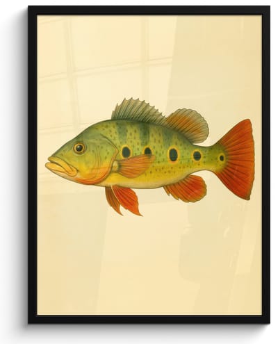Poster in lijst - Fotolijst 60x80 cm - Posters - Schubben - Vis - Groen - Illustratie - Posterlijst zwart - Decoratie - Wanddecoratie woonkamer - Muurdecoratie slaapkamer