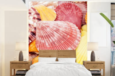 Behang - Fotobehang Schelpen - Rood - Geel - Strand - Zomer - Breedte 195 cm x hoogte 260 cm
