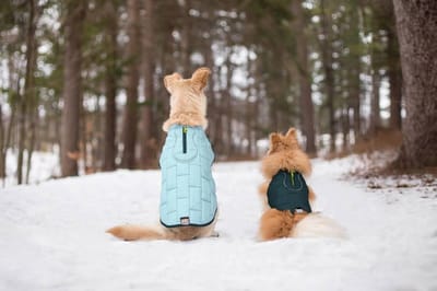 Thermo Warme Jas voor Honden - Reversible, Waterafstotend & Wasbaar - Kurgo Loft Jacket - in 4 kleuren in maten XS tot XL - Maat: Donker Blauw/Turquoise, Kleur: X-Small